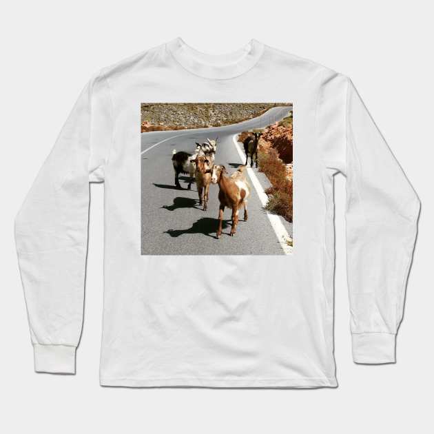 Funny Goat Long Sleeve T-Shirt by GRKiT